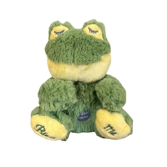 Prayer Pals Plush Frog Praying Now I Lay Me Down To Sleep Prayer Works Bless Me - Picture 1 of 9